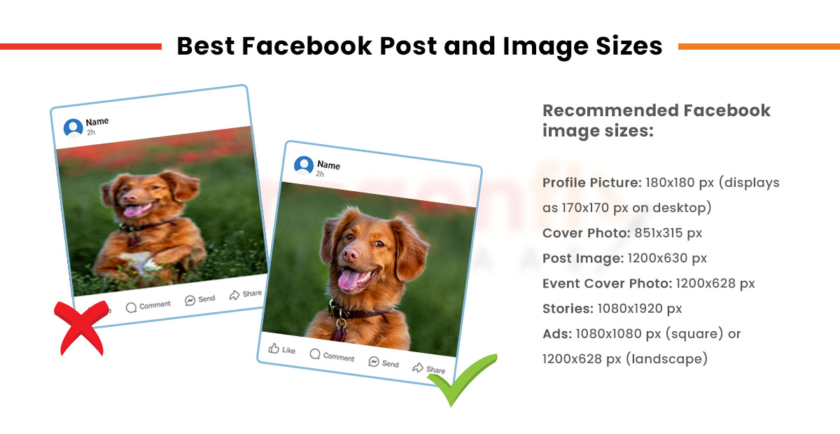 Dragonfly - Best Image Sizes For Facebook Posts