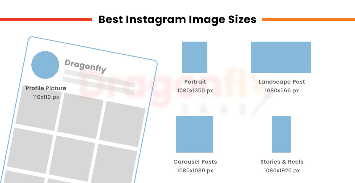 Dragonfly - Best Image Sizes For Instagram Social Posts