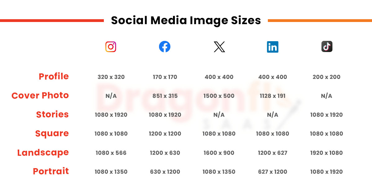 Dragonfly - The Ultimate Image Sizes For All Social Media Posts